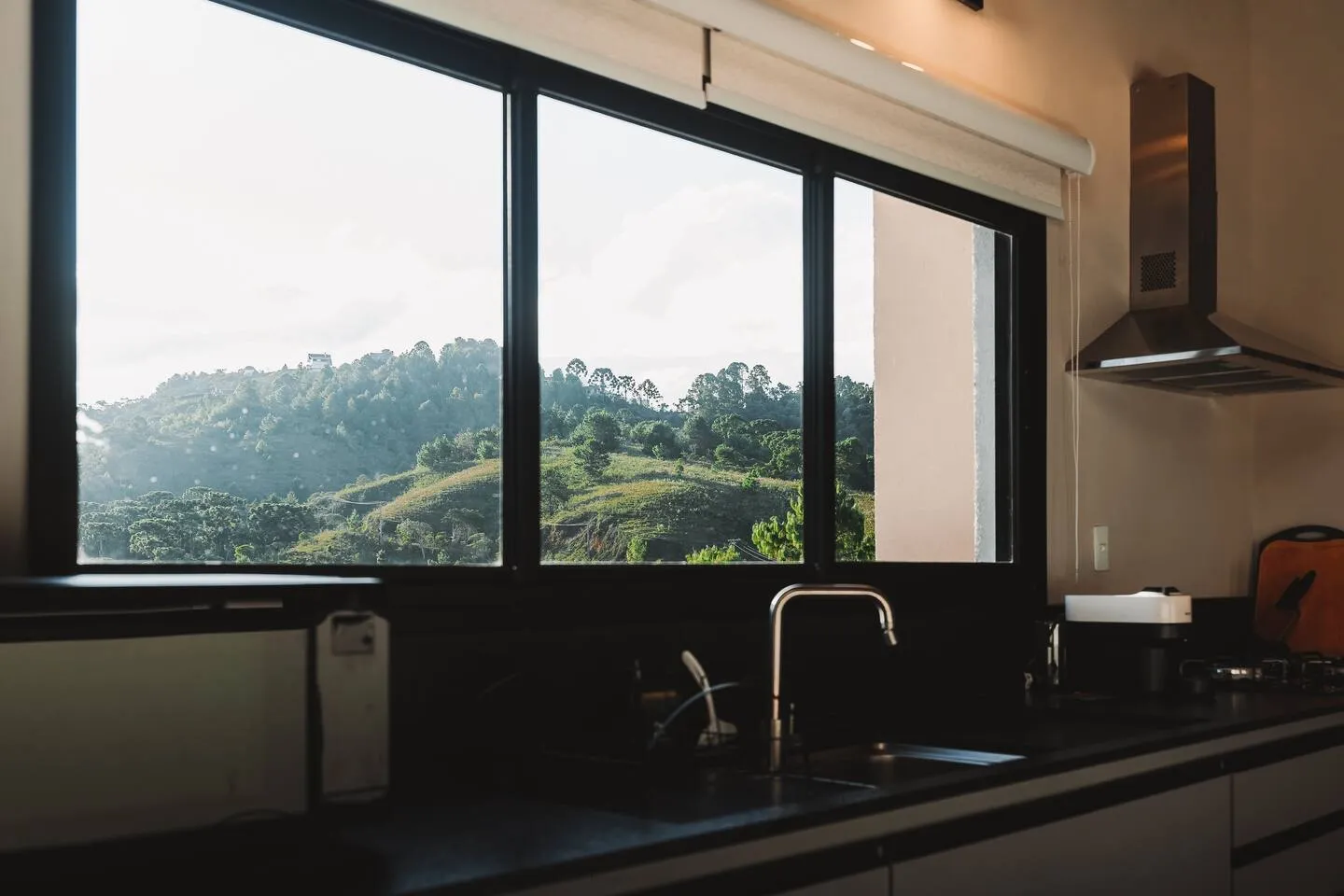 Pia da cozinha diante da janela com vista para o verde